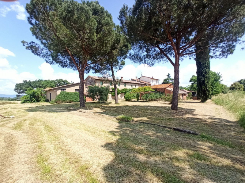 Immagine 23 di Appartamento in vendita  in Piana a Castiglione Del Lago