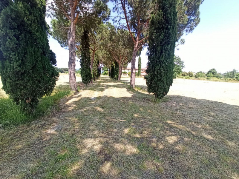 Immagine 26 di Appartamento in vendita  in Piana a Castiglione Del Lago