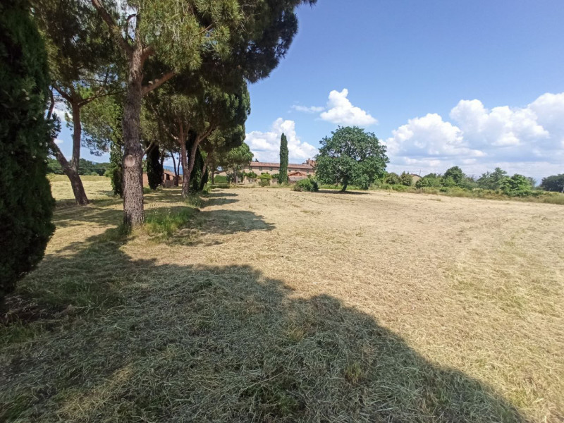 Immagine 27 di Appartamento in vendita  in Piana a Castiglione Del Lago