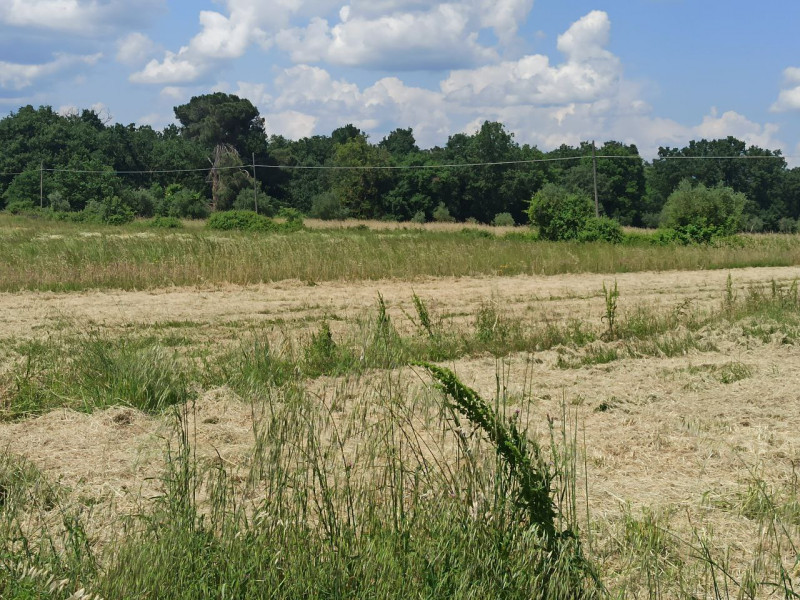 Immagine 28 di Appartamento in vendita  in Piana a Castiglione Del Lago
