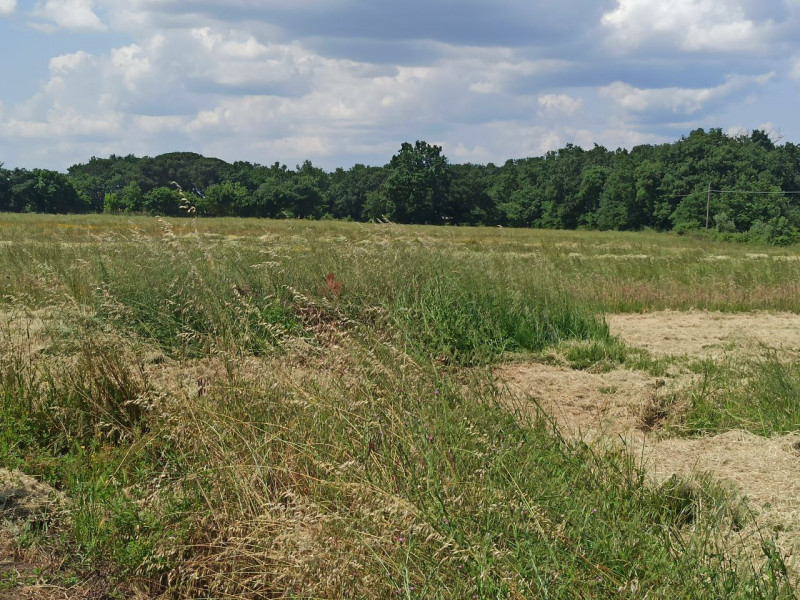 Immagine 29 di Appartamento in vendita  in Piana a Castiglione Del Lago