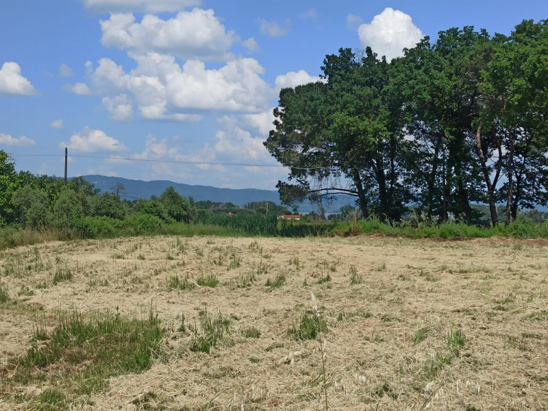 Immagine 30 di Appartamento in vendita  in Piana a Castiglione Del Lago