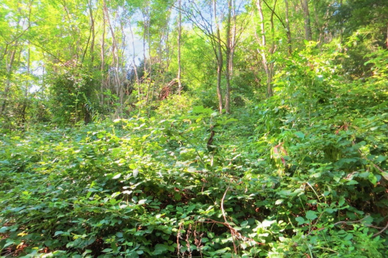 Immagine 2 di Terreno in vendita  in Frazione Buttello, N. snc a Valgreghentino
