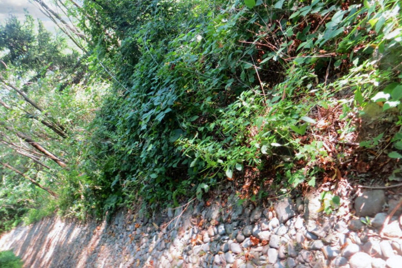 Immagine 4 di Terreno in vendita  in Frazione Buttello, N. snc a Valgreghentino