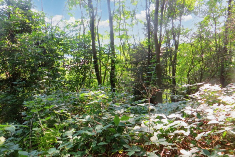 Immagine 5 di Terreno in vendita  in Frazione Buttello, N. snc a Valgreghentino