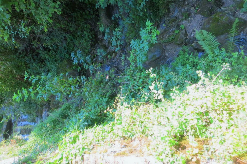 Immagine 8 di Terreno in vendita  in Frazione Buttello, N. snc a Valgreghentino