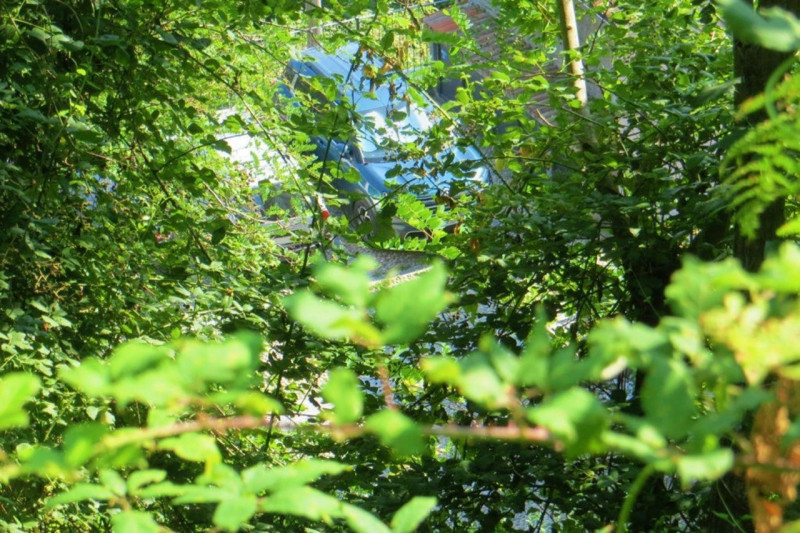 Immagine 9 di Terreno in vendita  in Frazione Buttello, N. snc a Valgreghentino