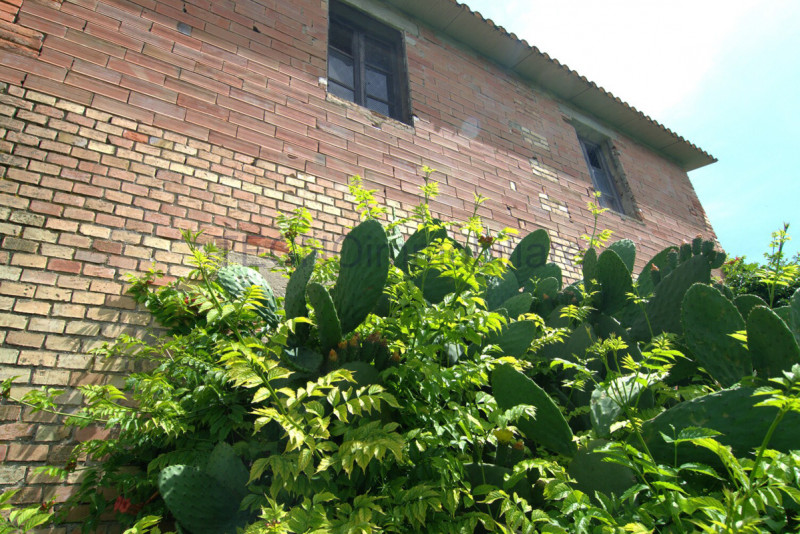 Immagine 46 di Casa indipendente in vendita  in VOCABOLO VIGNACCIO a Marsciano