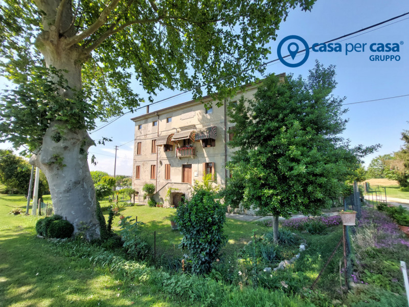 Immagine 1 di Casa indipendente in vendita  in Villanova Marchesana, Via Argine Po a Villanova Marchesana