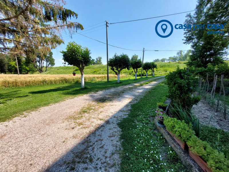 Immagine 47 di Casa indipendente in vendita  in Villanova Marchesana, Via Argine Po a Villanova Marchesana