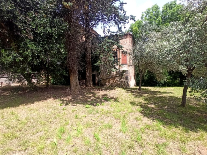 Immagine 21 di Palazzo in vendita  a Ficulle