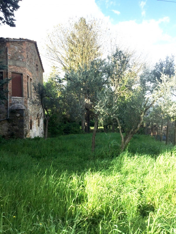 Immagine 24 di Palazzo in vendita  a Ficulle