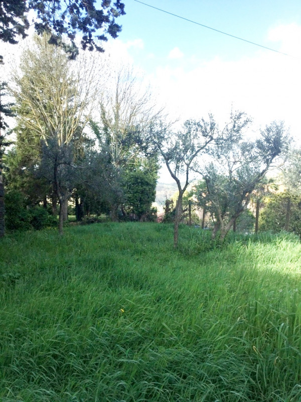 Immagine 25 di Palazzo in vendita  a Ficulle