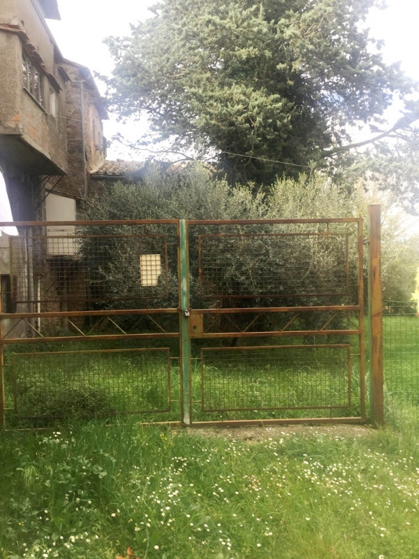 Immagine 26 di Palazzo in vendita  a Ficulle