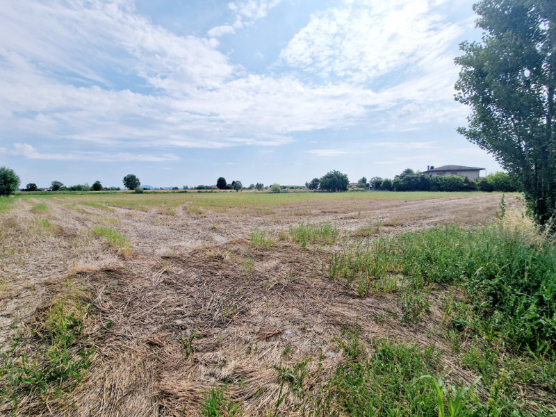 Immagine 2 di Terreno in vendita  in VIA PERAROLO a Merlara