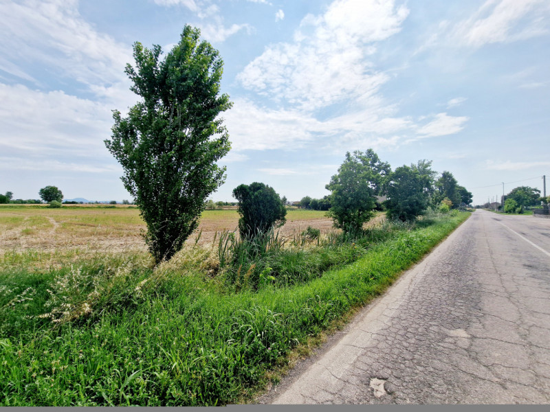 Immagine 3 di Terreno in vendita  in VIA PERAROLO a Merlara