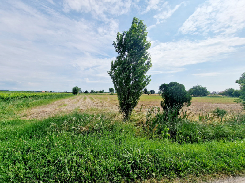 Immagine 4 di Terreno in vendita  in VIA PERAROLO a Merlara