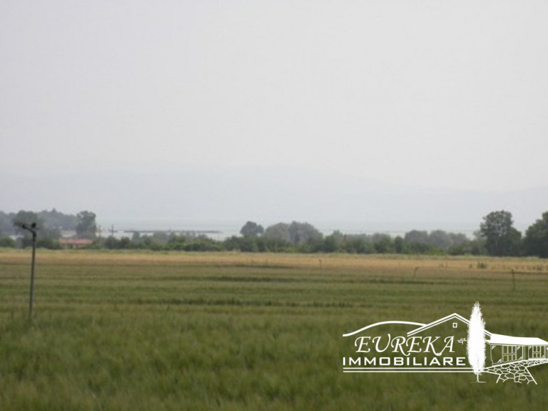 Immagine 7 di Terreno in vendita  in Via Roma, Castiglione del lago a Castiglione Del Lago