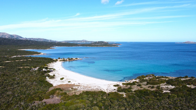 Immagine 13 di Appartamento in vendita  in Località Portisco a Olbia