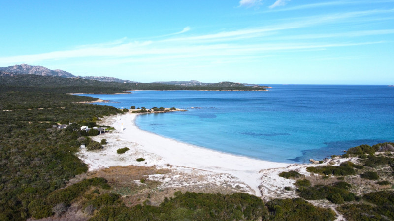 Immagine 14 di Appartamento in vendita  in Località Portisco a Olbia