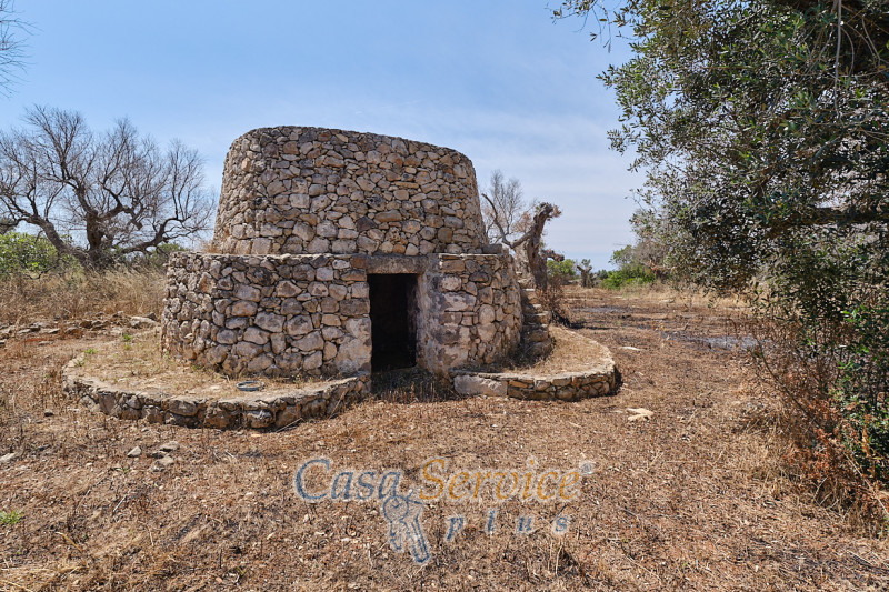 Immagine 2 di Rustico / casale in vendita  in Località Macchia a Taviano