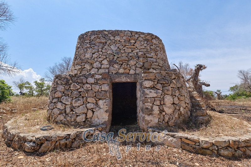 Immagine 3 di Rustico / casale in vendita  in Località Macchia a Taviano