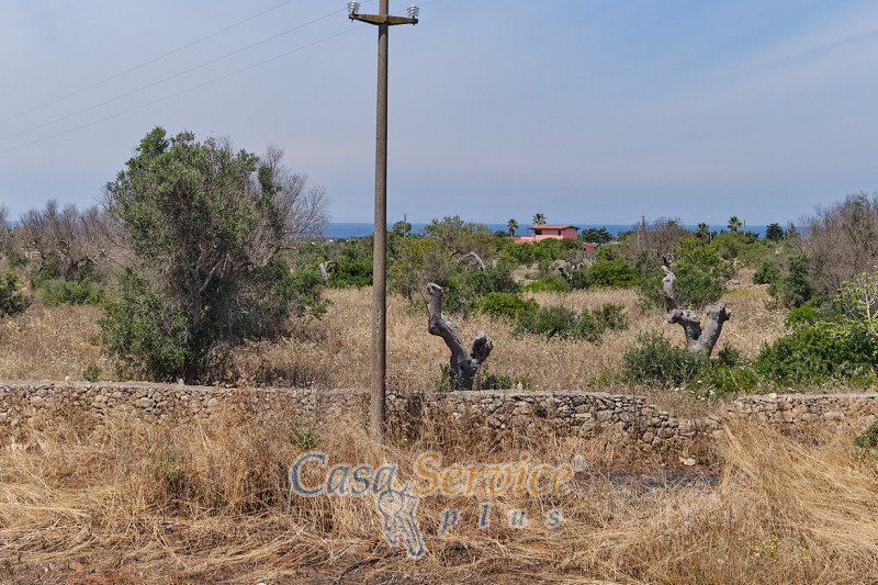 Immagine 5 di Rustico / casale in vendita  in Località Macchia a Taviano