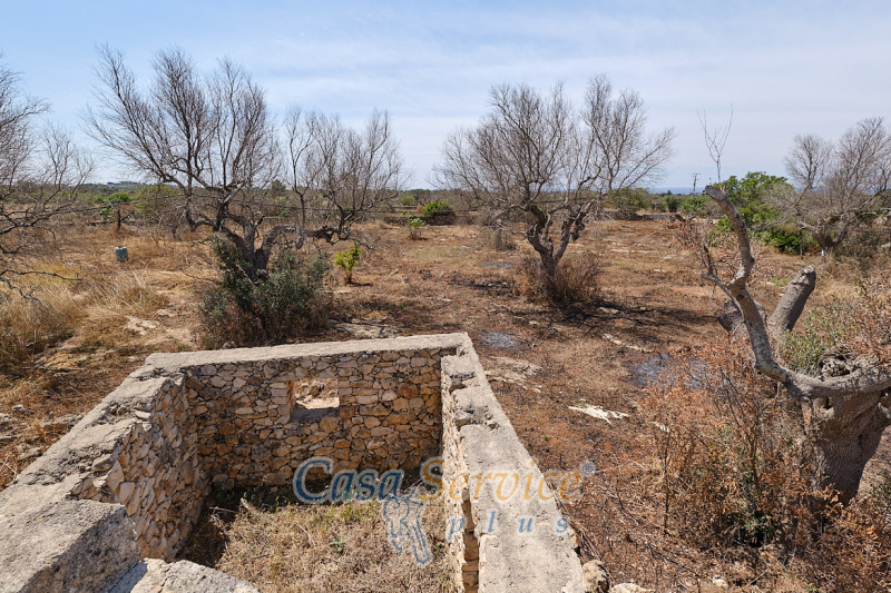 Immagine 6 di Rustico / casale in vendita  in Località Macchia a Taviano