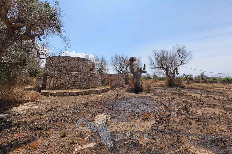Immagine 8 di Rustico / casale in vendita  in Località Macchia a Taviano