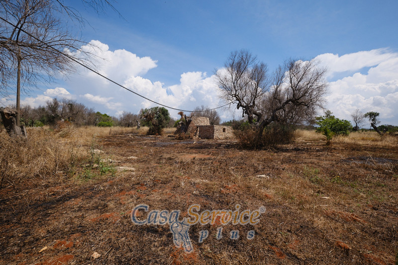 Immagine 9 di Rustico / casale in vendita  in Località Macchia a Taviano