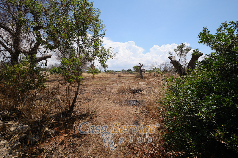 Immagine 10 di Rustico / casale in vendita  in Località Macchia a Taviano