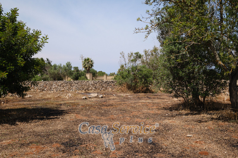 Immagine 12 di Rustico / casale in vendita  in Località Macchia a Taviano