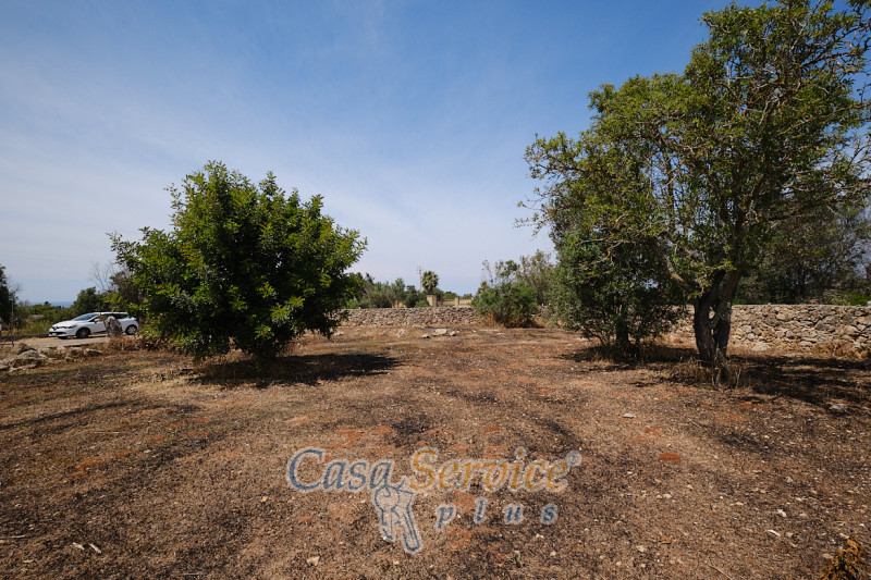 Immagine 13 di Rustico / casale in vendita  in Località Macchia a Taviano