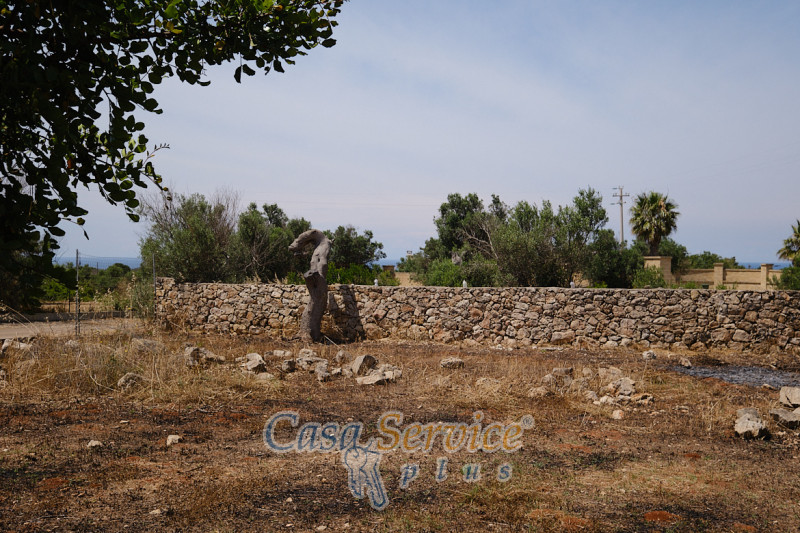 Immagine 14 di Rustico / casale in vendita  in Località Macchia a Taviano