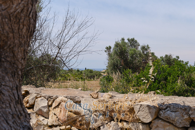 Immagine 15 di Rustico / casale in vendita  in Località Macchia a Taviano