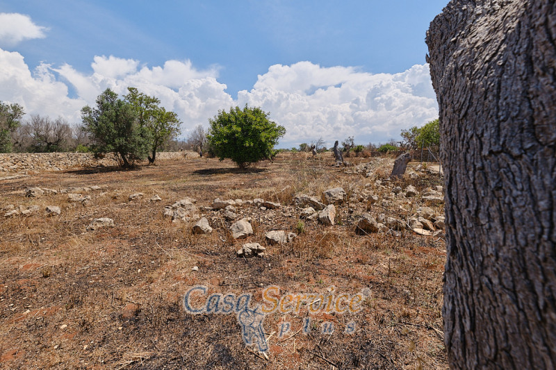 Immagine 17 di Rustico / casale in vendita  in Località Macchia a Taviano