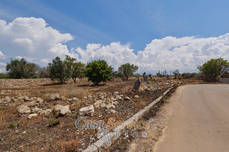 Immagine 18 di Rustico / casale in vendita  in Località Macchia a Taviano