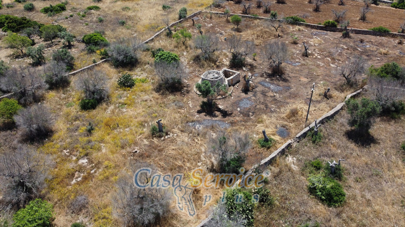 Immagine 19 di Rustico / casale in vendita  in Località Macchia a Taviano