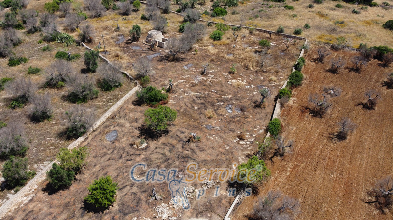 Immagine 20 di Rustico / casale in vendita  in Località Macchia a Taviano