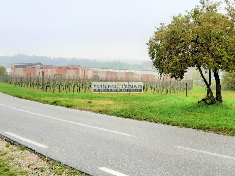 Immagine 1 di Terreno in vendita  in via prati a Calcinato