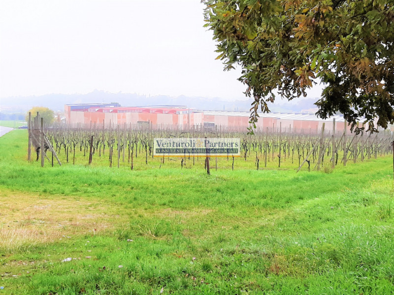 Immagine 2 di Terreno in vendita  in via prati a Calcinato
