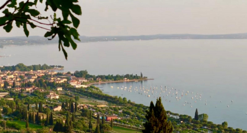 Immagine 1 di Negozio in vendita  a Bardolino