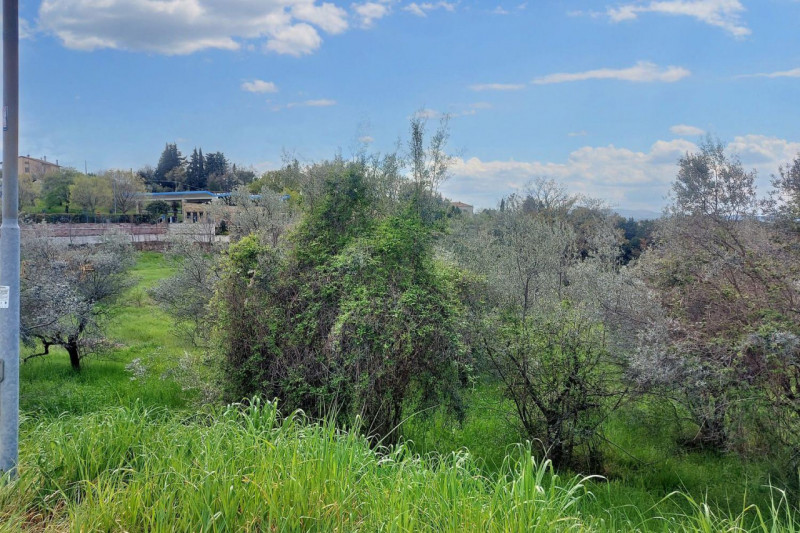 Immagine 4 di Terreno in vendita  in Via Edmondo De Amicis, N. snc a Montefalco