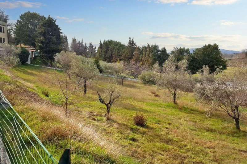 Immagine 3 di Terreno in vendita  in Via Edmondo De amicis - SP 445, N. snc a Montefalco