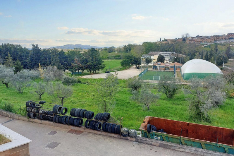 Immagine 5 di Terreno in vendita  in Via Edmondo De amicis - SP 445, N. snc a Montefalco