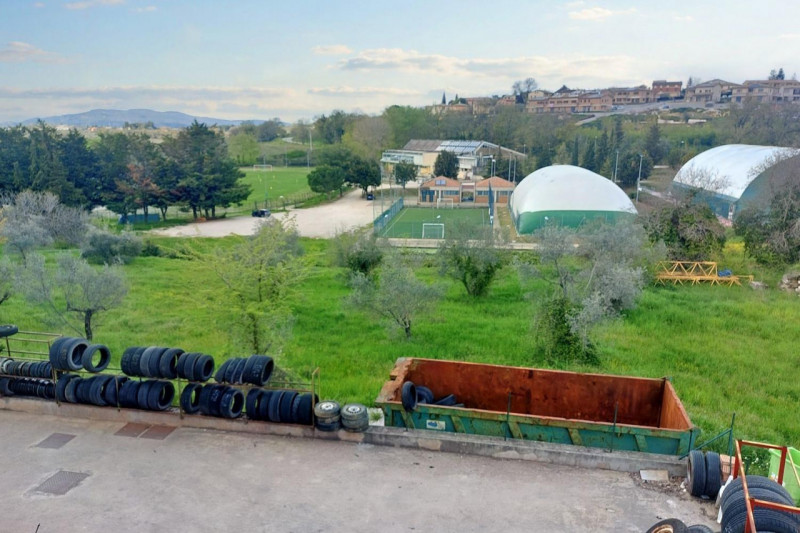 Immagine 6 di Terreno in vendita  in Via Edmondo De amicis - SP 445, N. snc a Montefalco