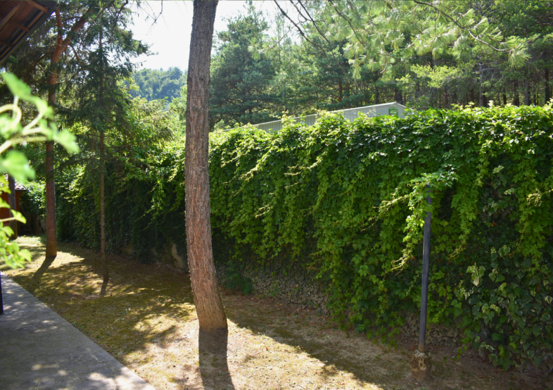 Immagine 80 di Casa trifamiliare in vendita  in Strada Le Mole a Neviano Degli Arduini