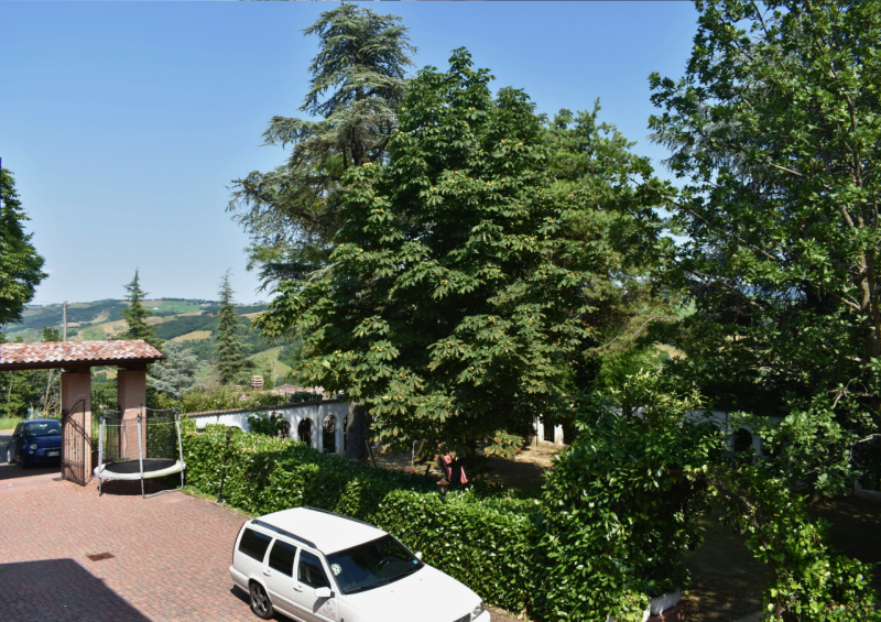 Immagine 85 di Casa trifamiliare in vendita  in Strada Le Mole a Neviano Degli Arduini