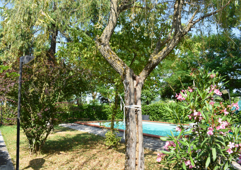 Immagine 115 di Casa trifamiliare in vendita  in Strada Le Mole a Neviano Degli Arduini