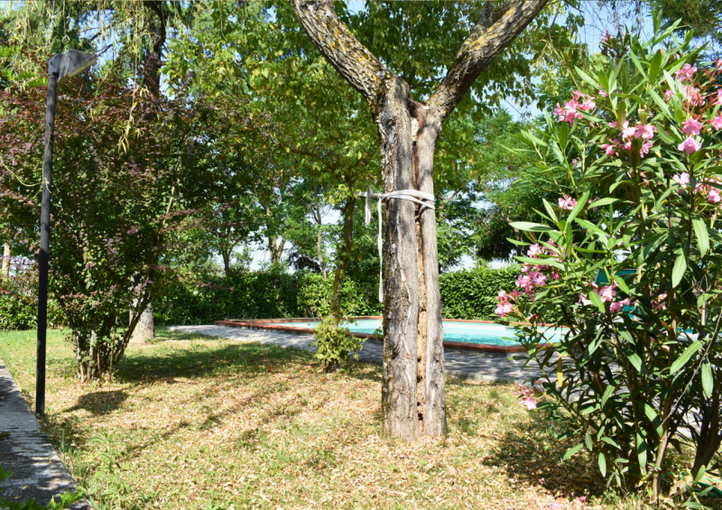 Immagine 116 di Casa trifamiliare in vendita  in Strada Le Mole a Neviano Degli Arduini